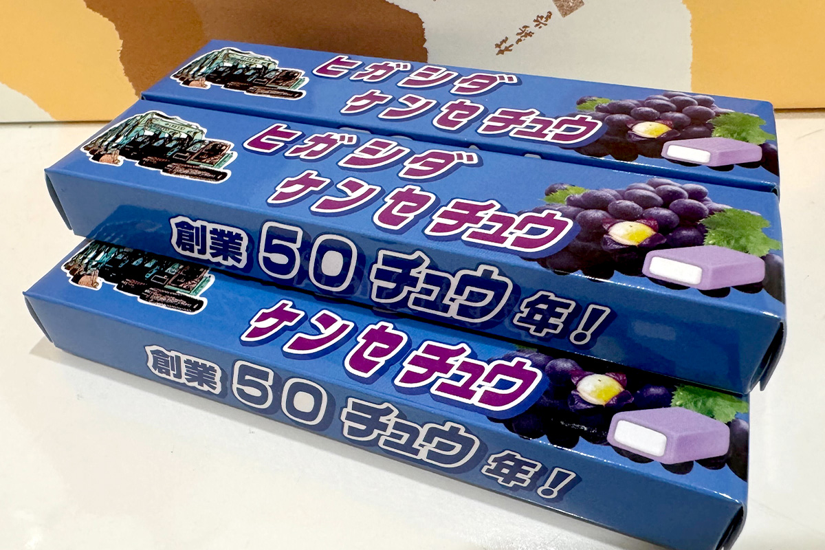 東田建設｜ヒガシダケンセチュウ